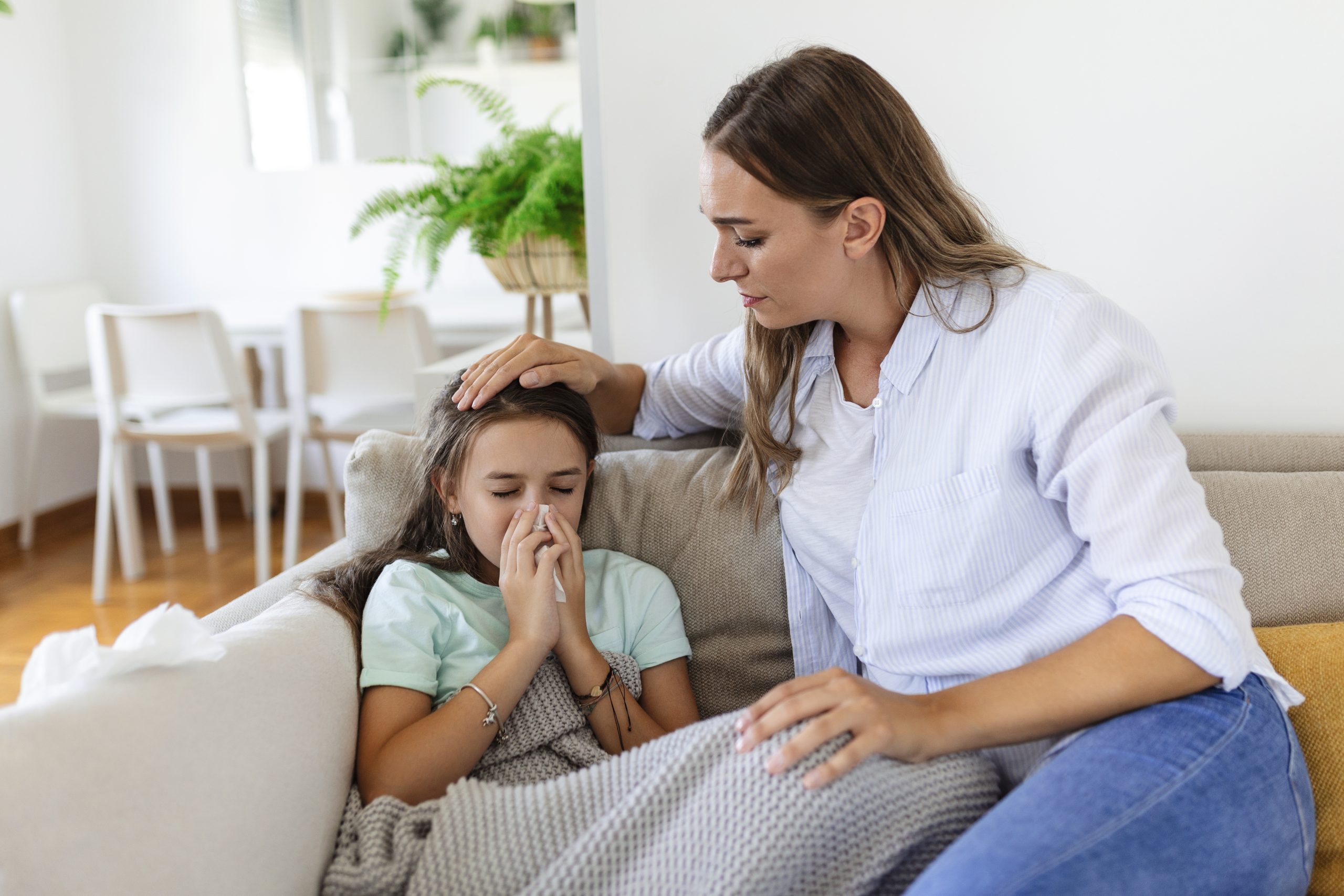 dv-sp Emotional Cost of DIY Family Law.