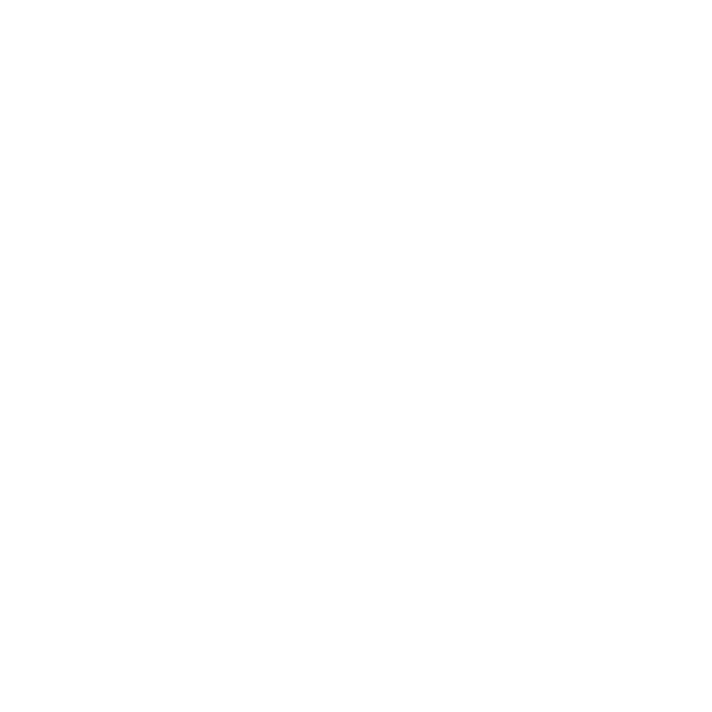 Court Representation