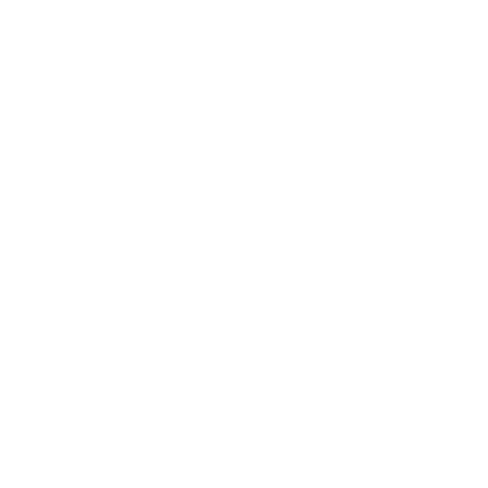 Domestic Violence Orders