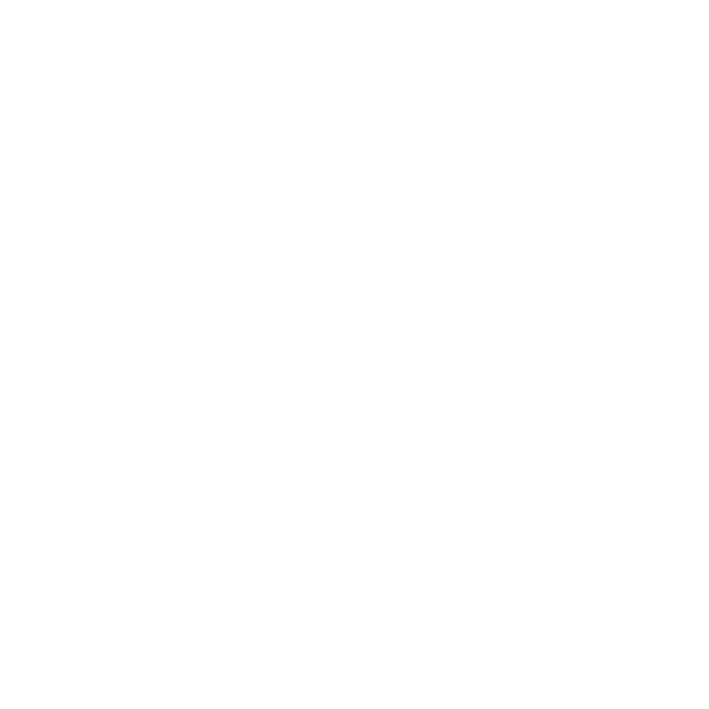 Parenting Agreements